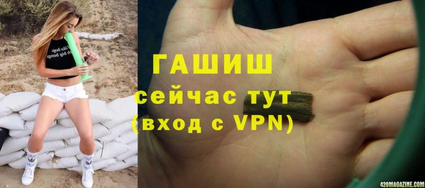 гидра Горно-Алтайск
