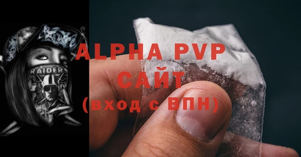 молекула духа Чекалин