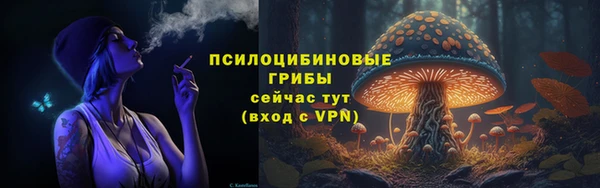 марки lsd Горняк