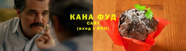 гидра Горно-Алтайск