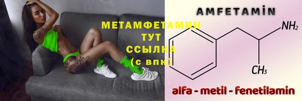 гидра Горно-Алтайск