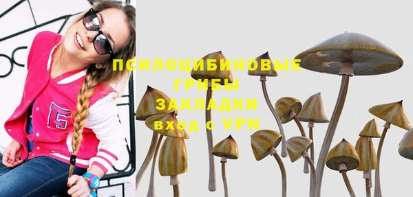 ешки Горнозаводск