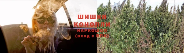 гидра Горно-Алтайск