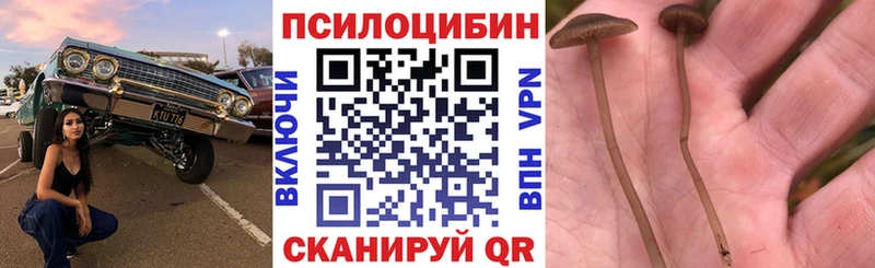 Псилоцибиновые грибы ЛСД сколько стоит Нефтеюганск